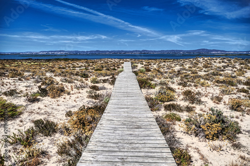 Wooden path to the sea in the desertic sands of Ilha Deserta in Faro  Portugal