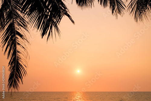 Vivid beautiful sunset and sunrise sky reflection on sea beach wave with coconut tree foreground.