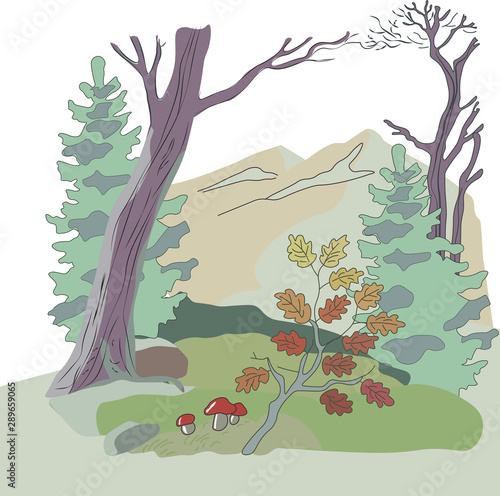 Vector illustration of autumn forest. Oak, tree, yellowing leaves fall off. Mushrooms. Mountains in the background.