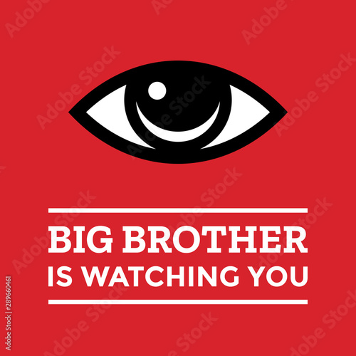 Big brother is watching you poster