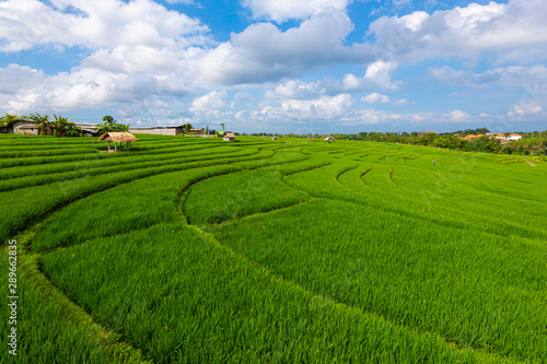 Rice Terrace, a famous attractions of Asia
