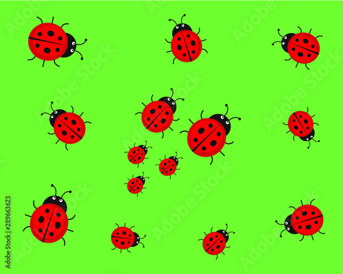 Ladybird/ladybug vector illustration icon in green backround. For you design or logo.