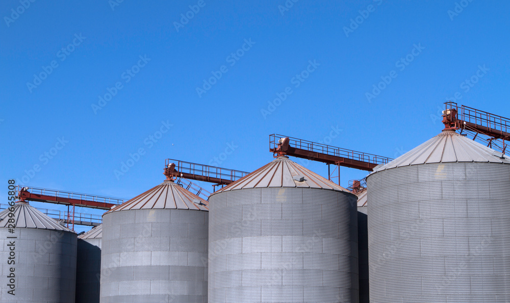 metal silo of corn, wheat and sunflowers with blue sky. metal silo of corn, wheat and sunflowers with blue sky.