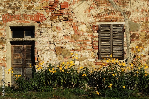 yellow flowers against old house