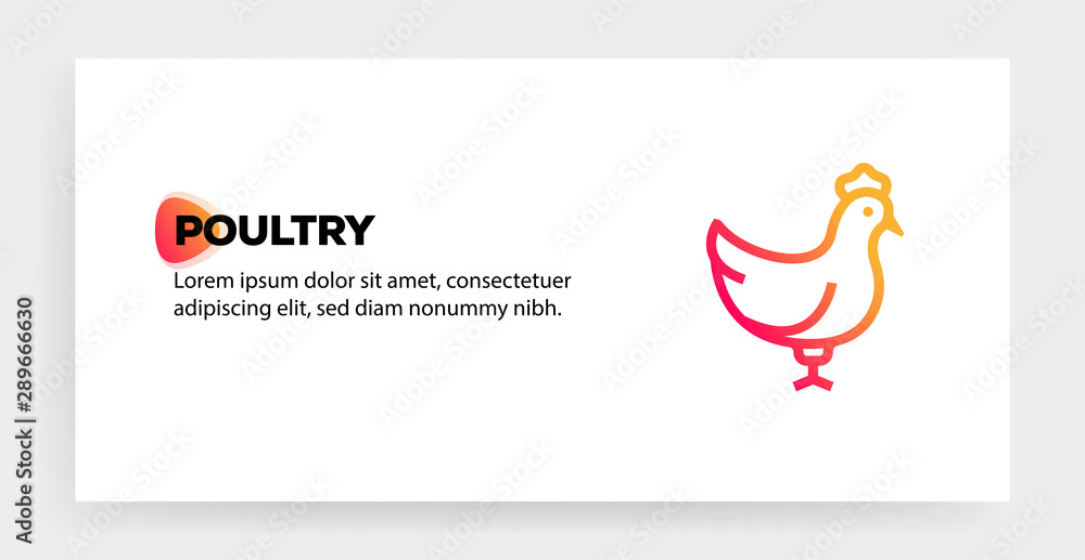 Fototapeta premium POULTRY ICON CONCEPT