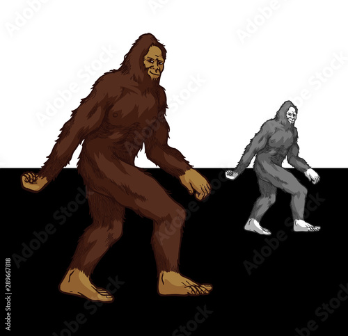 bigfoot walking - mystical creature sasquatch colored and grayscale good looking on dark and light background