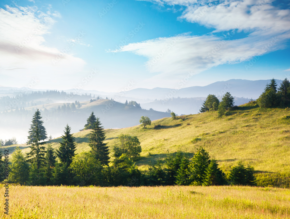 Awesome alpine highlands in sunny day. Location Carpathian national park, Ukraine, Europe. Awesome alpine highlands in sunny day. Location Carpathian national park, Ukraine, Europe.