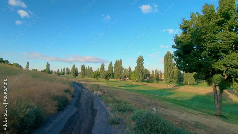 Pan of a green landscape with asphalt path for walking or biking in the late afternoon Pan of a green landscape with asphalt path for walking or biking in the late afternoon