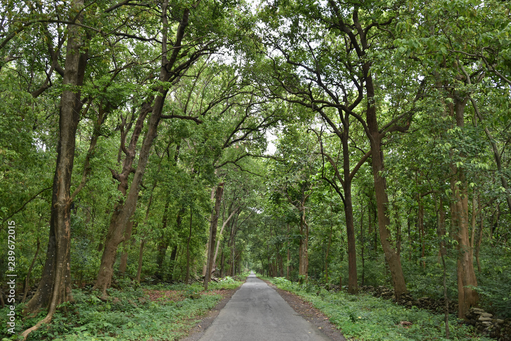 Nature Beautiful Nature Beautiful