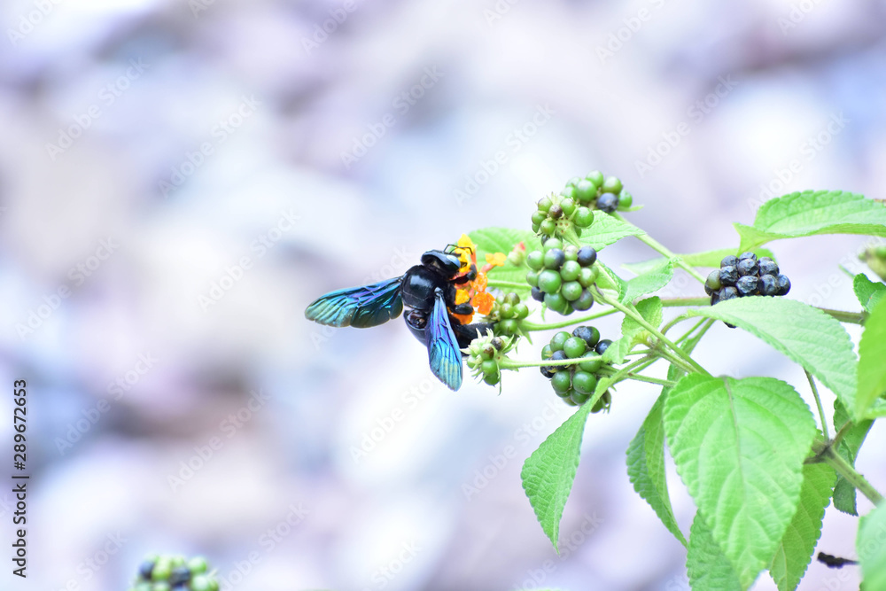 Nature Beautiful Nature Beautiful