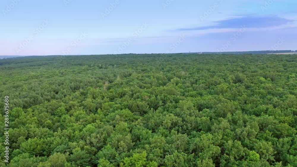 Flight over natural landscape of the forest. Beautiful view on the tops of green trees at summer day. Aerial view. Flight over natural landscape of the forest. Beautiful view on the tops of green trees at summer day. Aerial view.