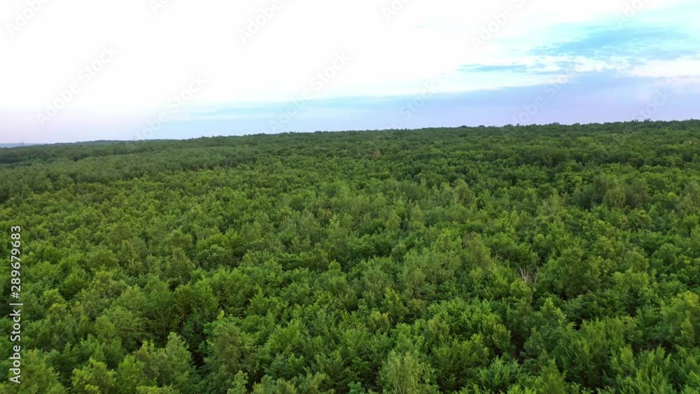 Natural green scenery in the countryside. Flying over beautiful lanscape of woodland in a summer day. Camera moves forward. Natural green scenery in the countryside. Flying over beautiful lanscape of woodland in a summer day. Camera moves forward.