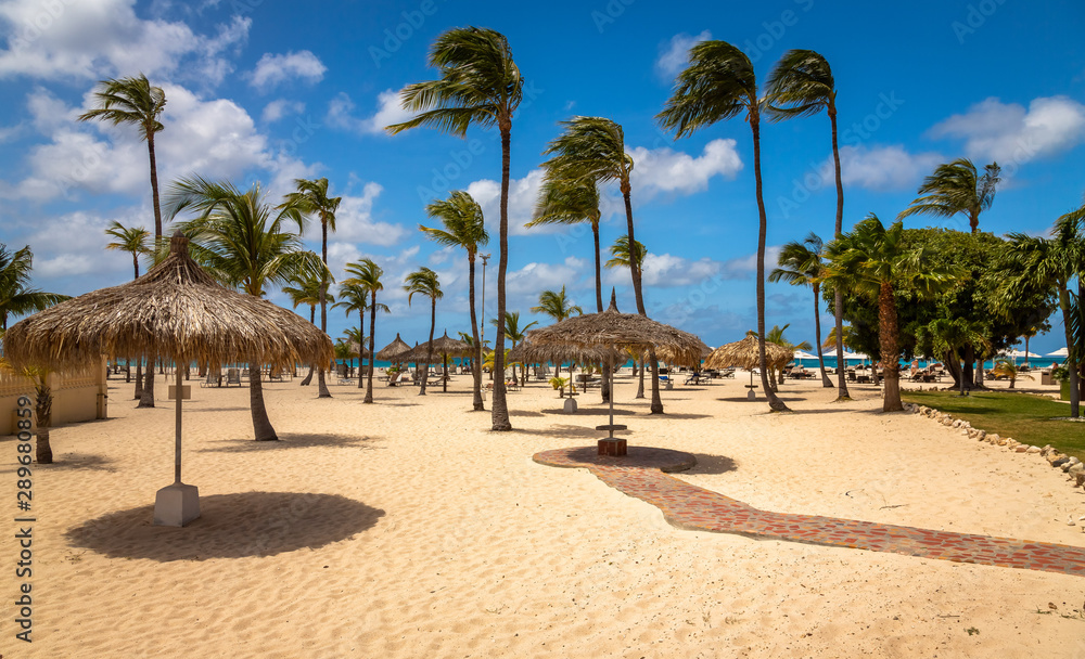Palm Trees in Aruba Eagle Beach. Taken in 2017, this photo was taken in the beautiful Eagle Beach, Aruba, taking advantage of the great conditions at the time.