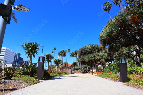 Beverly Gardens Park on Santa Monica Blvd, Beverly Hills - California © Walter Cicchetti