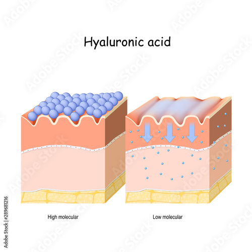 Hyaluronic acid in skin-care products. Low molecule and High molecular photo