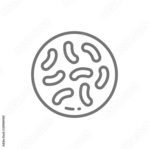 Probiotics, lactobacilli, bifidobacteria line icon. Isolated on white background