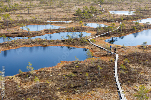 Footpath between lakes in Estonian bog photo