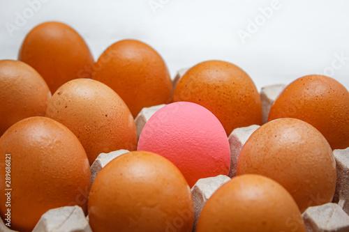 Raw chicken eggs in egg box.