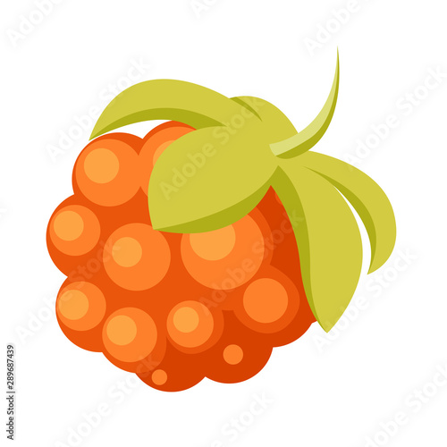 Single Cloudberry with Leaves Icon. Vector illustration