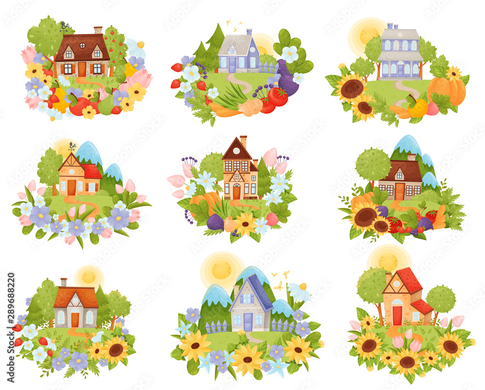 Set of village houses in the meadow with a path. Vector illustration.