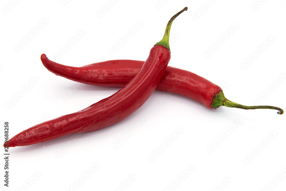 red chilli on a white background red chilli on a white background