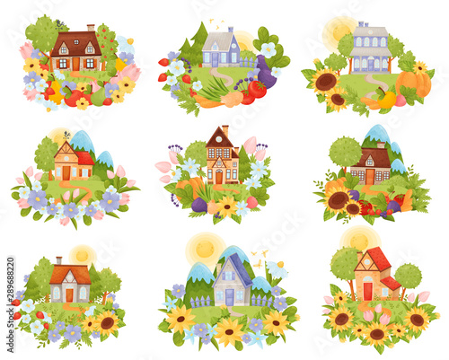 Fototapeta Naklejka Na Ścianę i Meble -  Set of village houses in the meadow with a path. Vector illustration.