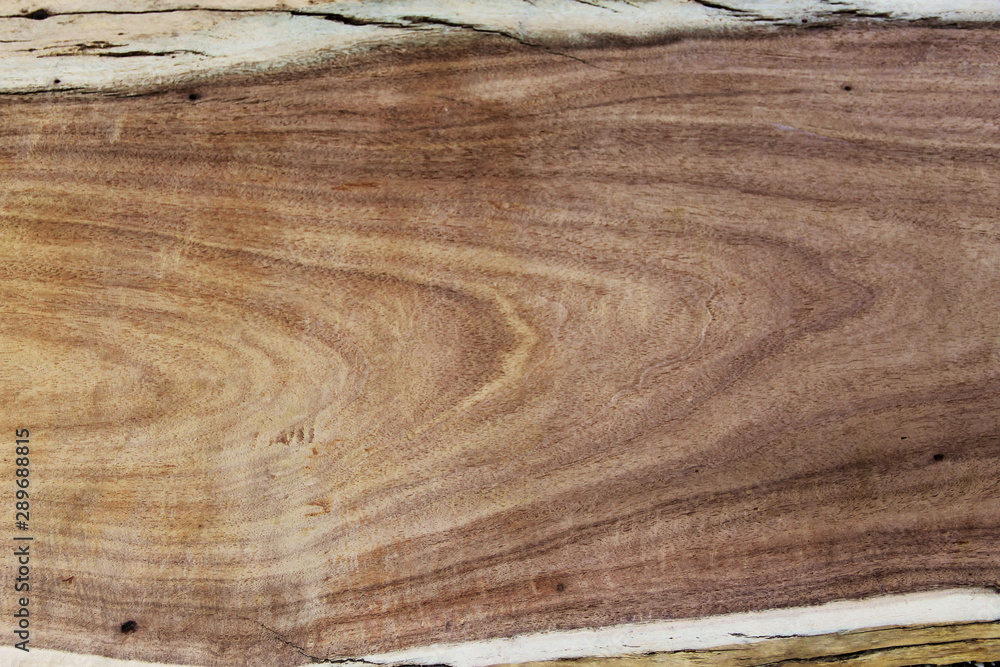 Texture of wood background pattern closeup Texture of wood background pattern closeup