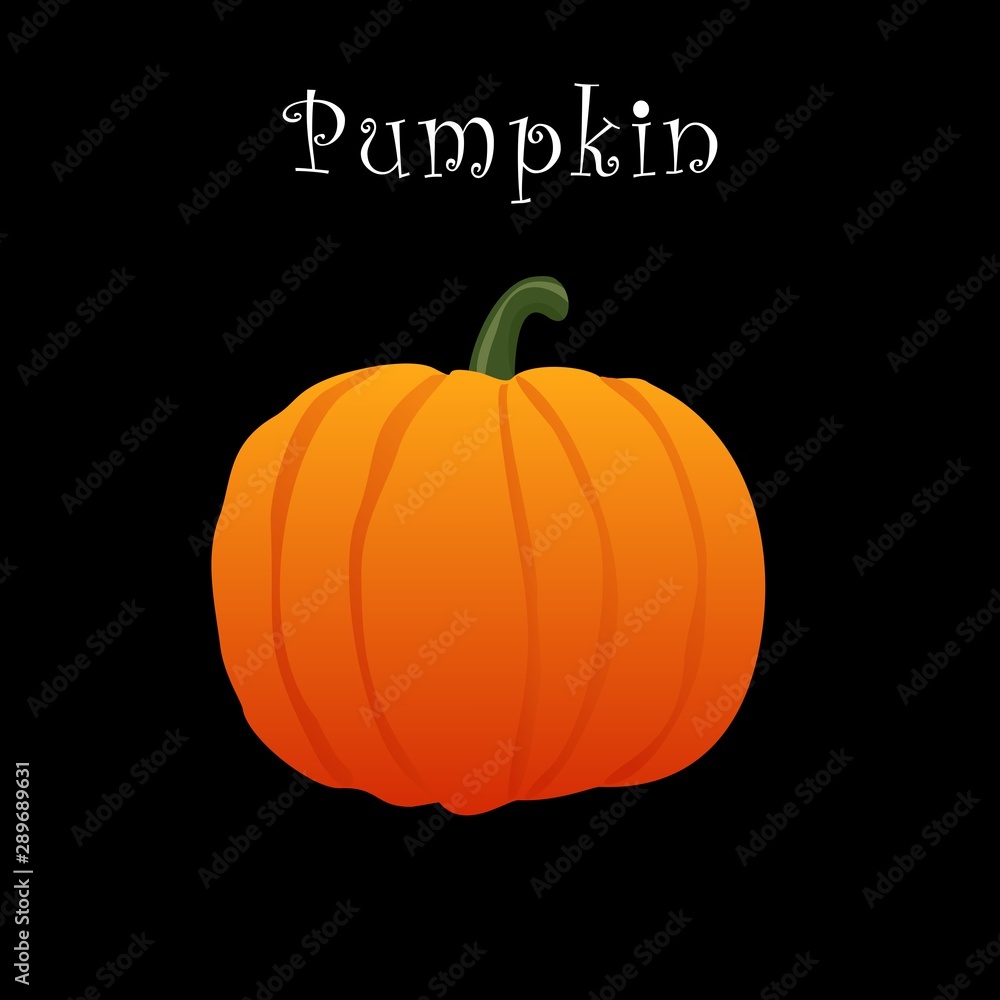 Small pumpkin on a black background with the inscription. illustration. Halloween Pumpkin. Small pumpkin on a black background with the inscription. illustration. Halloween Pumpkin.