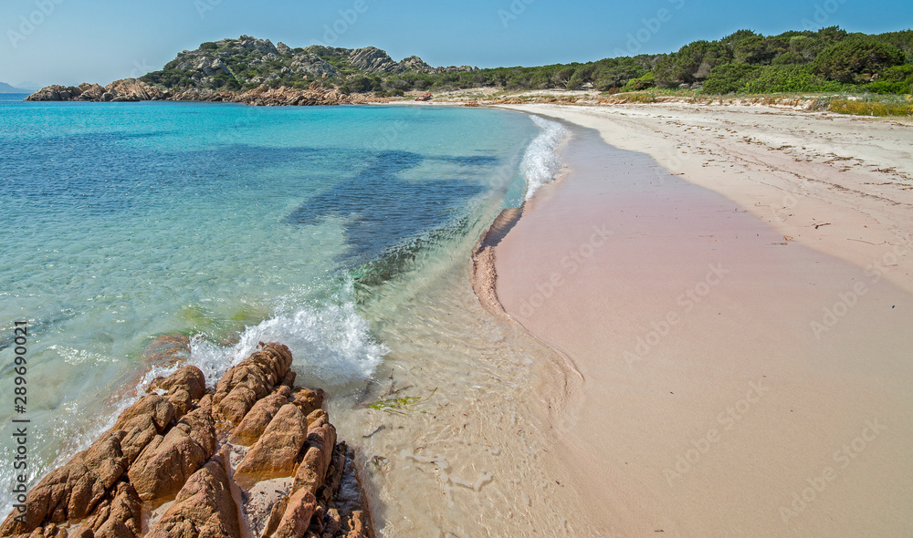 Spiaggia Rosa, Arcipelago di La Maddalena - obrazy, fototapety, plakaty 