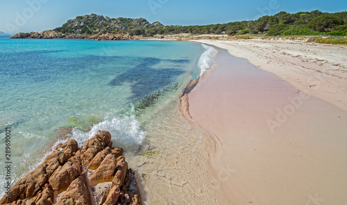 Spiaggia Rosa, Arcipelago di La Maddalena, Sardegna. Pink beach in Sardinia photo