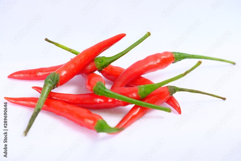 red chili peppers on white background red chili peppers on white background