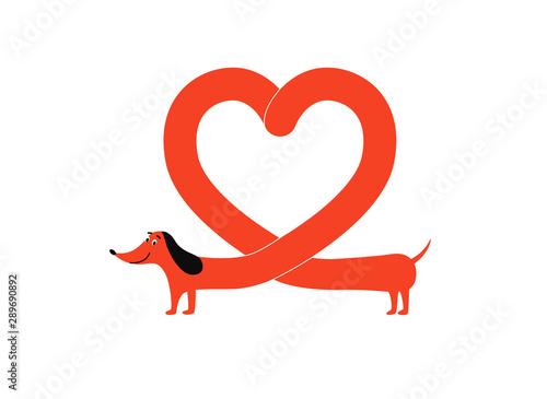 Red dachshund dog with heart shape body, cute pet animal forming a love symbol