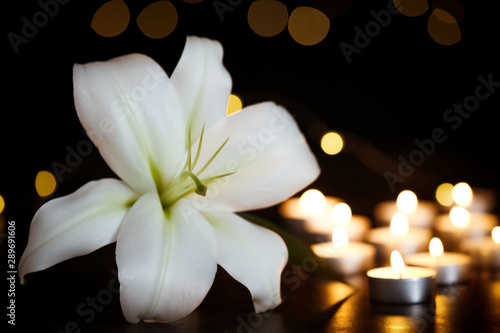 Fototapeta Naklejka Na Ścianę i Meble -  White lily and burning candles on table in darkness. Funeral symbol