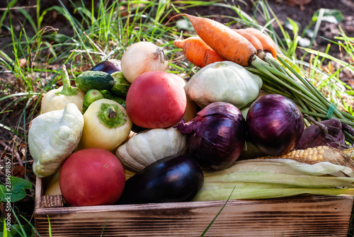 A bunch of ripe natural vegetables. Raw ripe vegetables in a wooden box. The concept of healthy and vegetarian food. photo