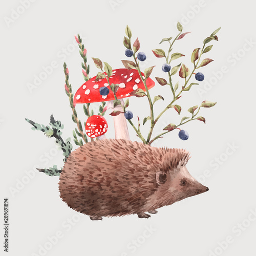 Watercolor hedgehog vector illustration