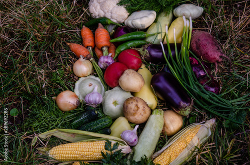 A bunch of ripe natural vegetables. Raw ripe vegetables in a wooden box. The concept of healthy and vegetarian food. photo