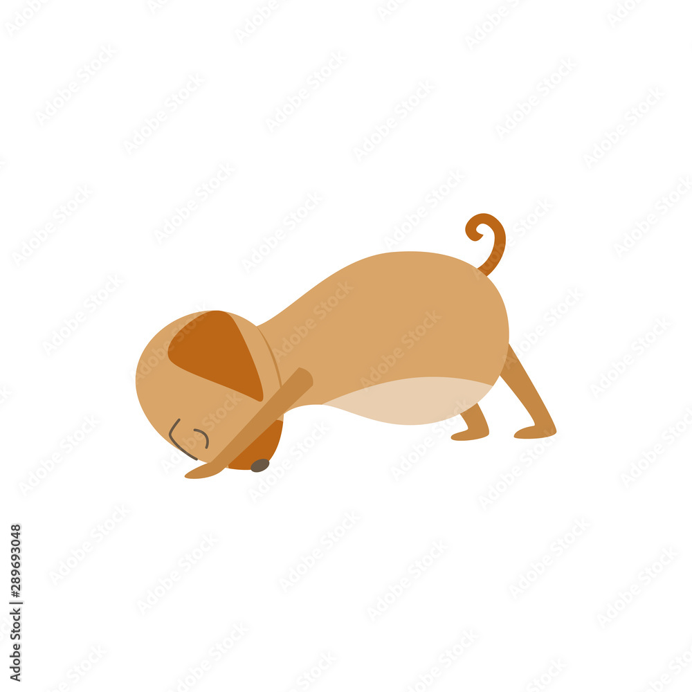 Brown dog stretching in yoga pose, cartoon pet in downward facing position Stock Vector | Adobe Stock Brown dog stretching in yoga pose, cartoon pet in downward facing position Stock Vector | Adobe Stock