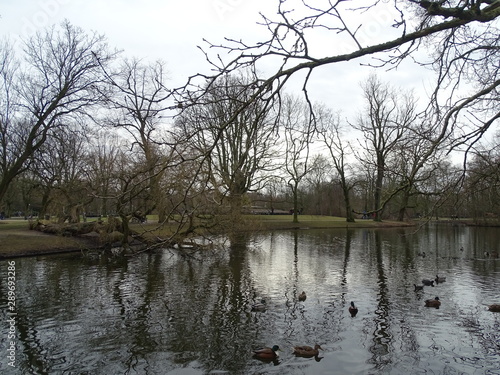 estanque vondelpark amsterdam  holanda paises bajos  photo