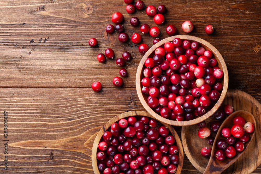 cranberries in a bowl cranberries in a bowl