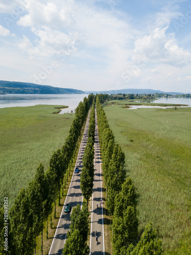 Blick auf die Pappelallee der Insel Reichenau am Bodensee