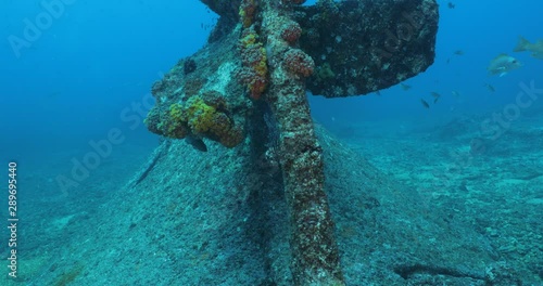 Mazatlan Shipwreck, reefs of Sea of Cortez, Pacific ocean. Isla Cerralvo, Baja California Sur, Mexico. photo