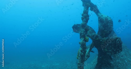 Mazatlan Shipwreck, reefs of Sea of Cortez, Pacific ocean. Isla Cerralvo, Baja California Sur, Mexico. photo