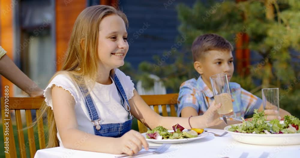 Portrait of young Caucasian preteen siblings sit at the table with their family during vegetarian barbecue near their house, people enjoying summertime outdoors. 4K UHD Portrait of young Caucasian preteen siblings sit at the table with their family during vegetarian barbecue near their house, people enjoying summertime outdoors. 4K UHD