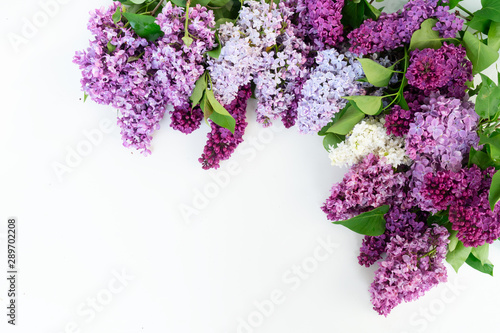 Fresh lilac flowers photo
