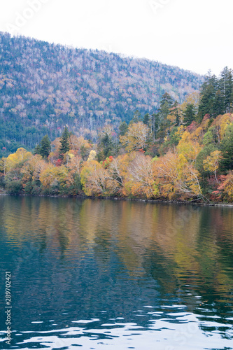 カラフルな秋の湖の森