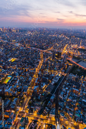Aerial view of Tokyo city in twilight sky