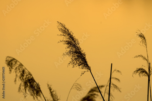 The beauty of nature