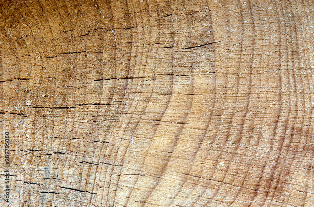 Naklejka premium old wooden surface, background image