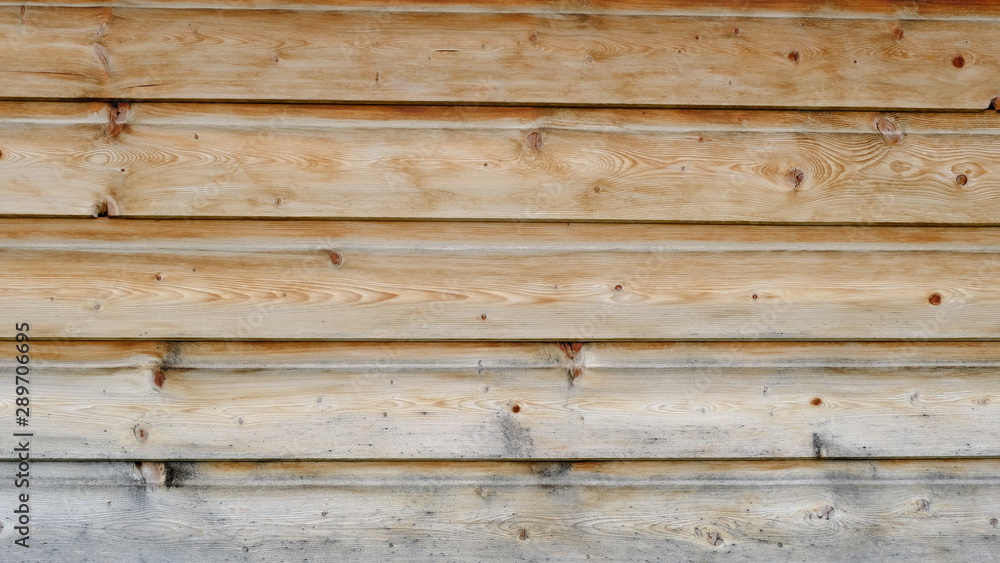 Obraz premium Wood texture for your design