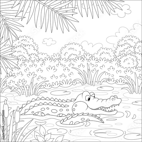 Big crocodile swimming in water of a lake under palm branches in tropical jungle, black and white vector illustration in a cartoon style for a coloring book